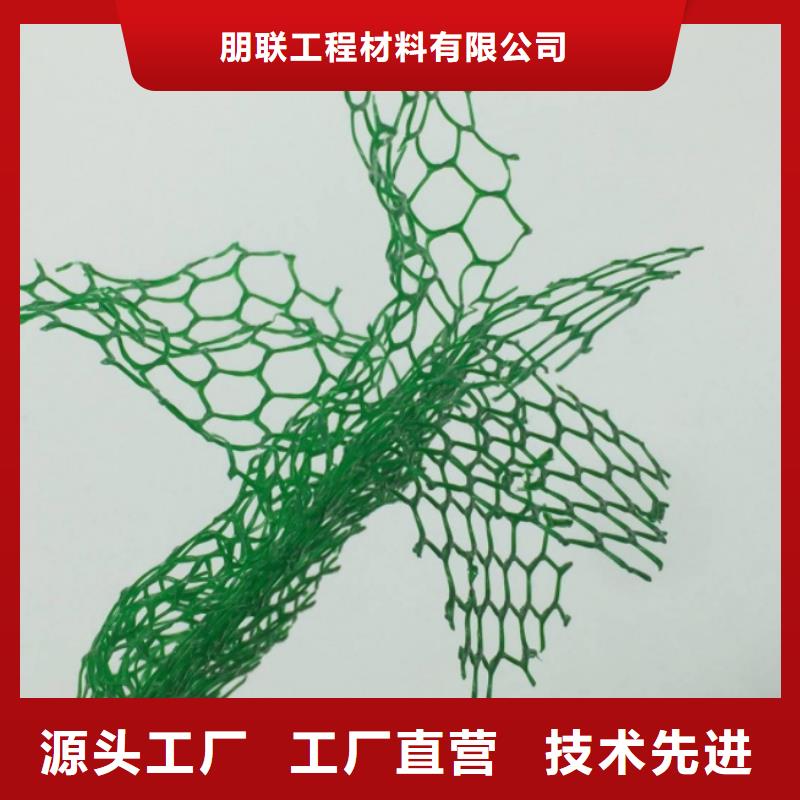 【三維植被網(wǎng)】植草格支持大小批量采購(gòu)