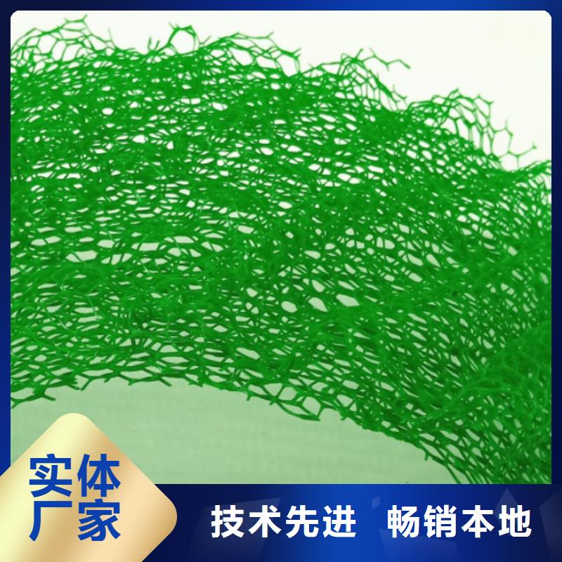 三維植被網(wǎng)-防護(hù)虹吸排水收集系統(tǒng)質(zhì)量看得見