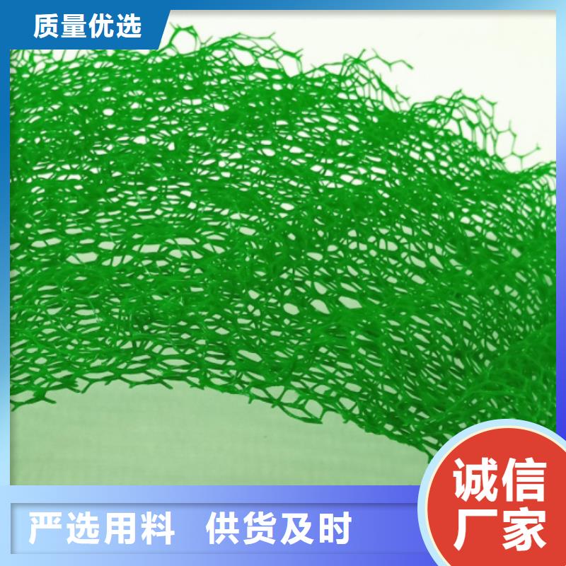 三維植被網(wǎng)防護(hù)虹吸排水收集系統(tǒng)源頭采購