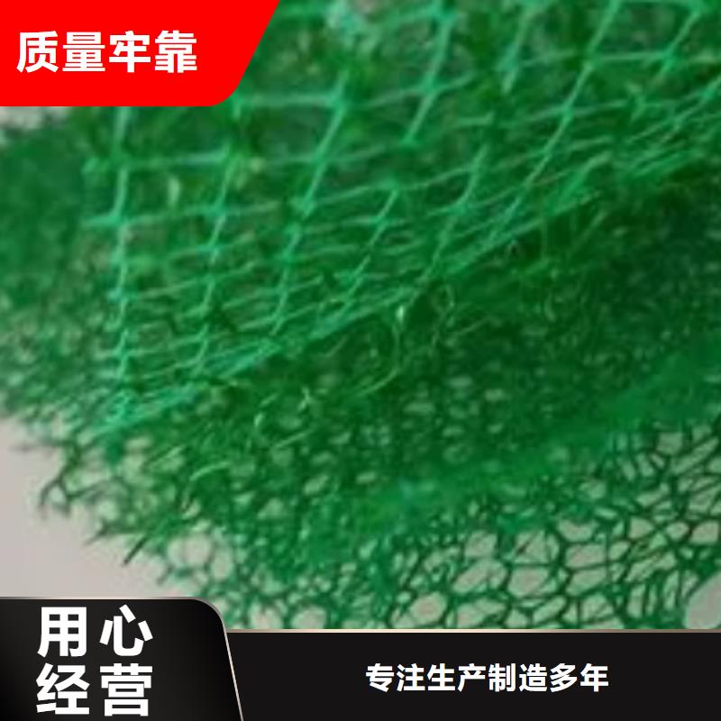 三維植被網排水板源廠供貨