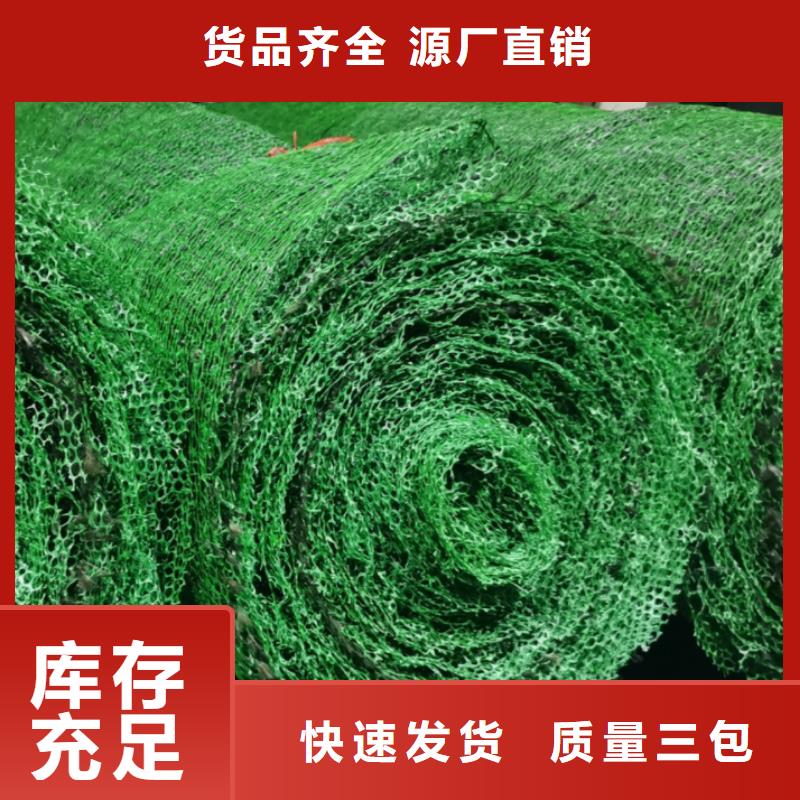 三維植被網(wǎng)車庫虹吸排水系統(tǒng)源頭廠家量大價優(yōu)