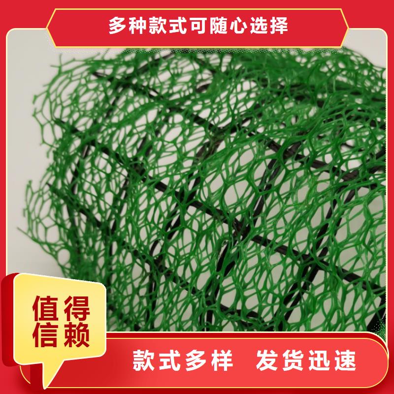 三維土工網(wǎng)墊型號全_全國供應(yīng)