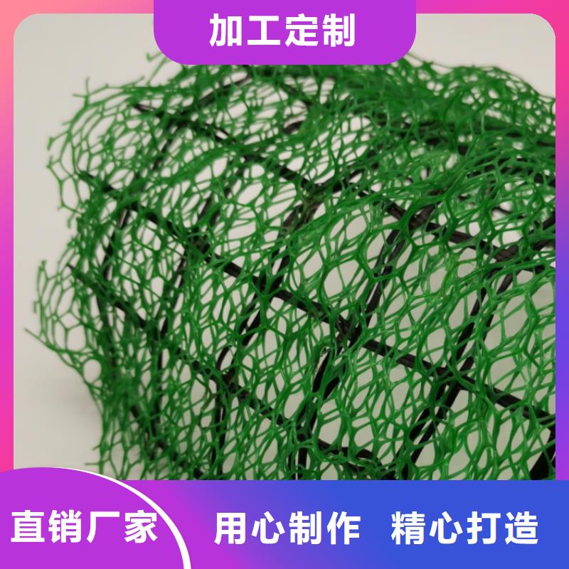 三維植被網水泥化糞池好貨直銷