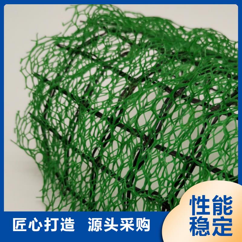 三維植被網水泥化糞池品質保證