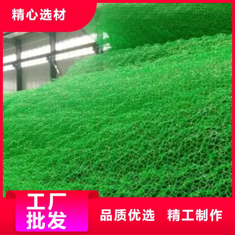 【三維植被網】_防護虹吸排水收集系統閃電發貨