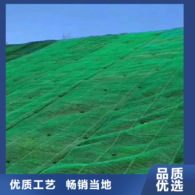 三維植被網【水泥化糞池】定制零售批發