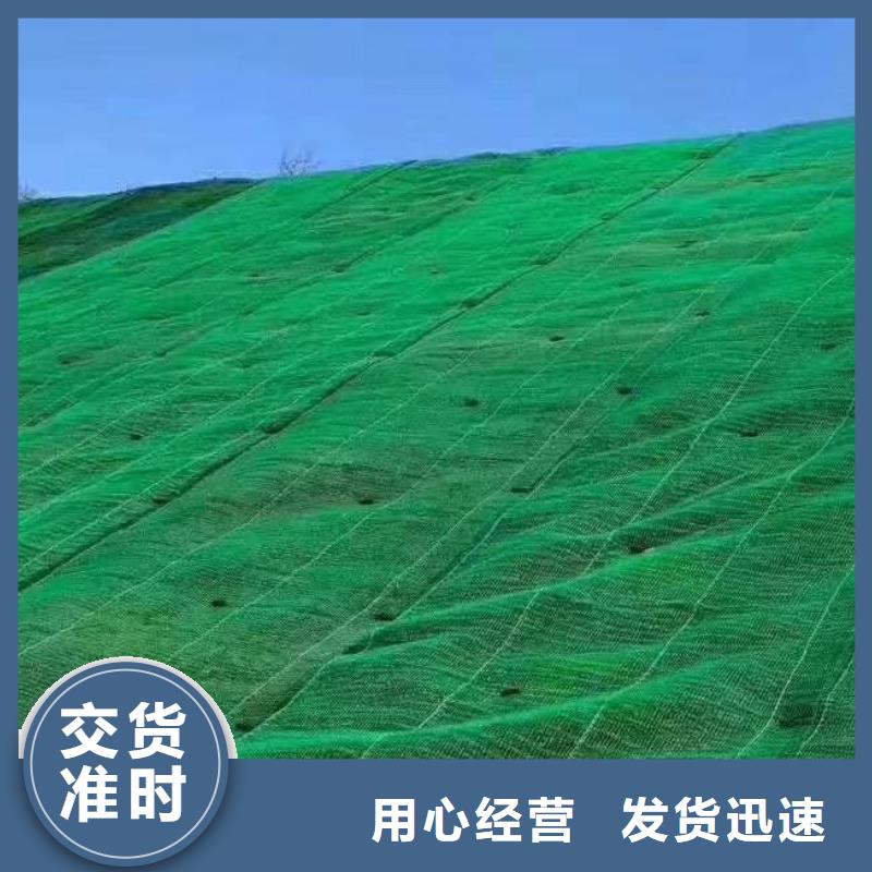 三維植被網(wǎng)防護(hù)虹吸排水收集系統(tǒng)一站式供應(yīng)廠家