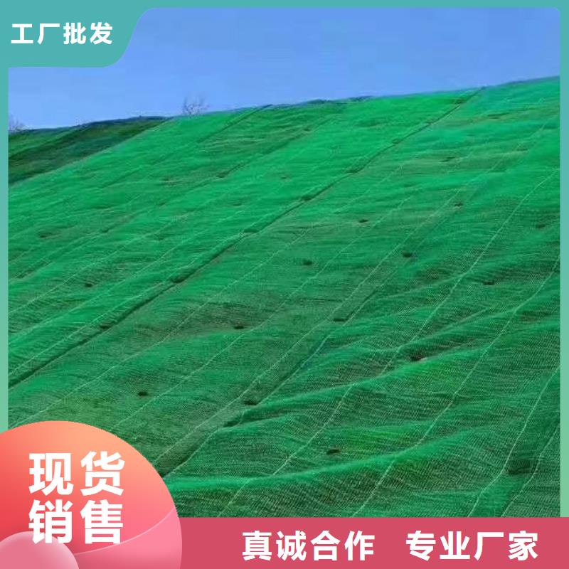 三維土工網墊規格