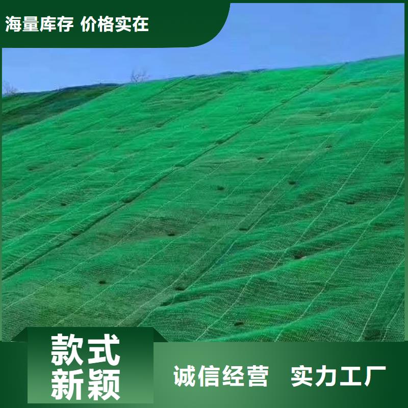 三維植被網(wǎng)-廠家直營店