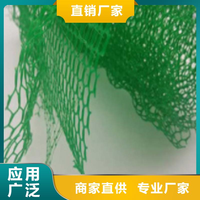 【三維植被網(wǎng)防護(hù)虹吸排水收集系統(tǒng)供應(yīng)商】