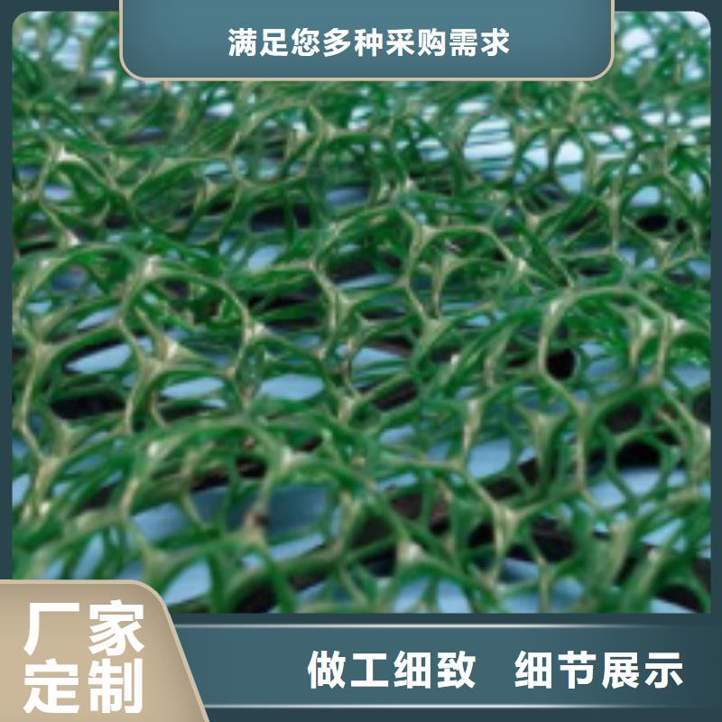 【三維植被網(wǎng)防護(hù)虹吸排水收集系統(tǒng)供應(yīng)商】