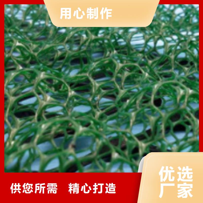 【三維植被網(wǎng)】防護(hù)虹吸排水收集系統(tǒng)品質(zhì)好才是硬道理