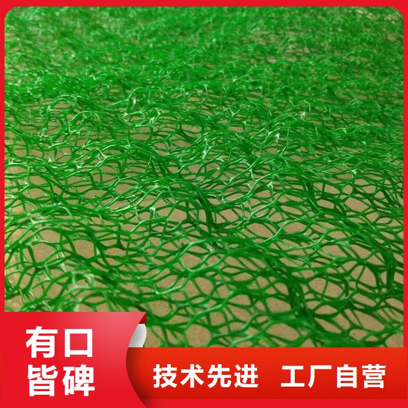 【三維植被網(wǎng)-防護虹吸排水收集系統(tǒng)不只是質量好】