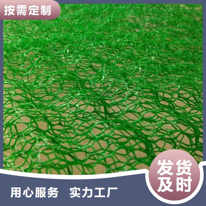 【三維植被網(wǎng)】防護(hù)虹吸排水收集系統(tǒng)品質(zhì)好才是硬道理