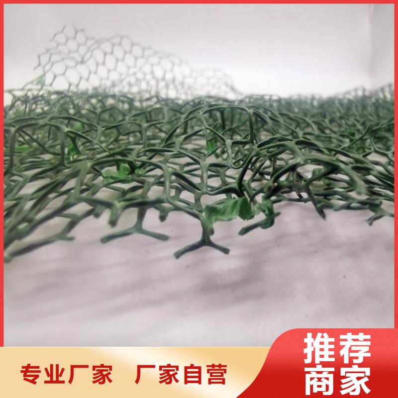 三維植被網(wǎng)防護(hù)虹吸排水收集系統(tǒng)一站式供應(yīng)廠家