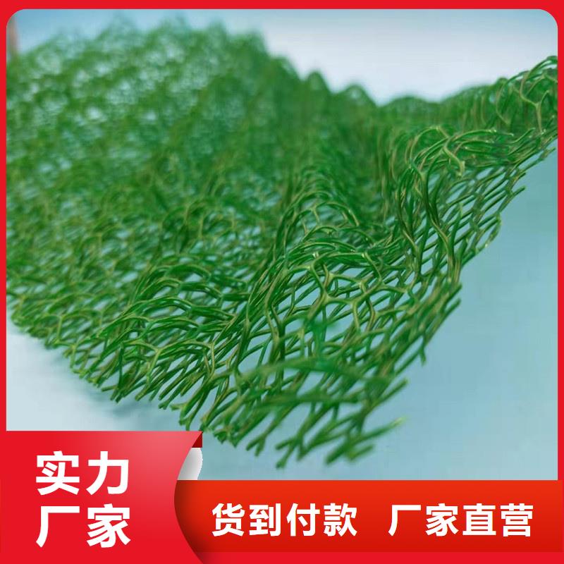 三維植被網(wǎng)排水板支持大小批量采購(gòu)