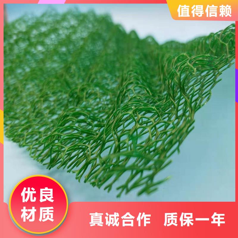 【三維植被網(wǎng)_車庫虹吸排水系統(tǒng)源頭廠家供應】