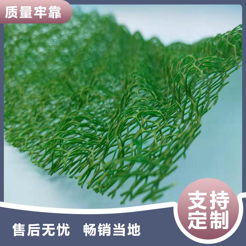 三維植被網(wǎng)型號