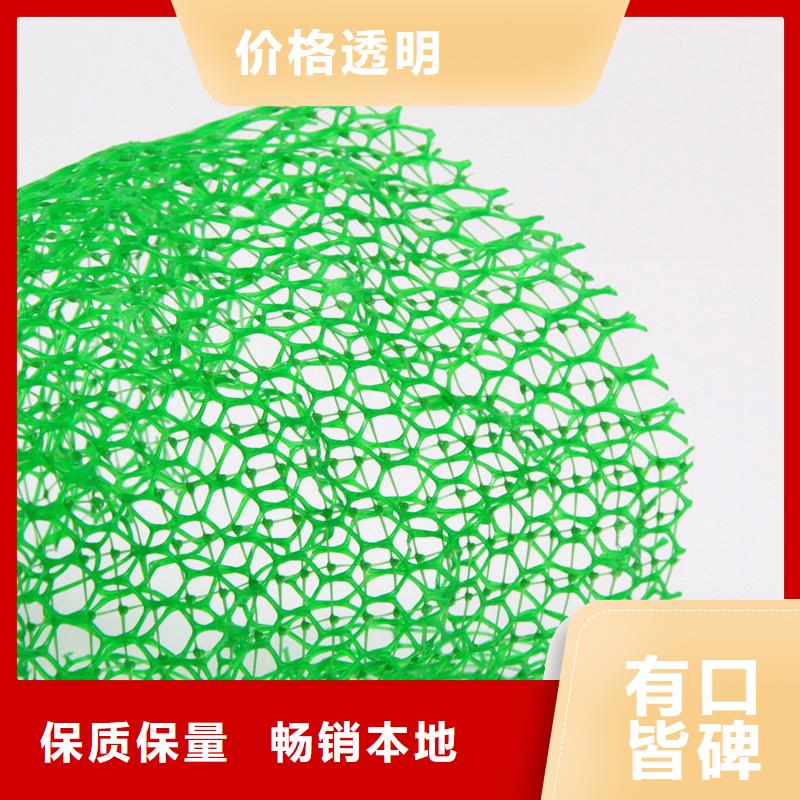 三維植被網(wǎng)防護(hù)虹吸排水收集系統(tǒng)供應(yīng)采購