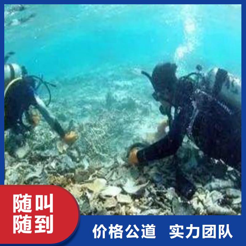 邓州水下打捞
价格