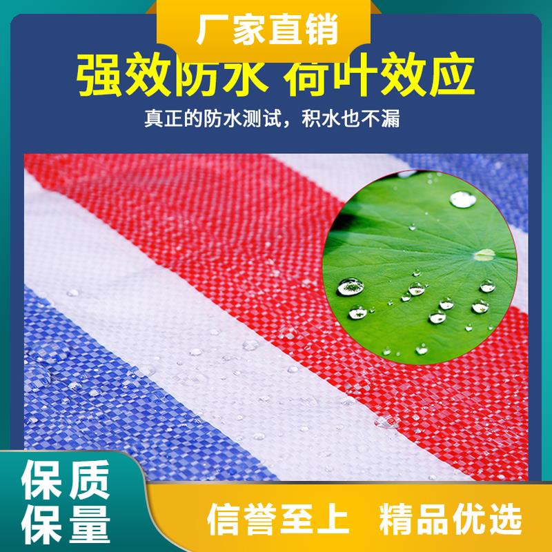 购买鑫鑫彩条雨布大企业