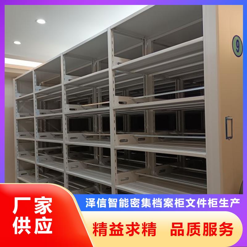 講究實效【澤信】古籍書庫樟木密集柜