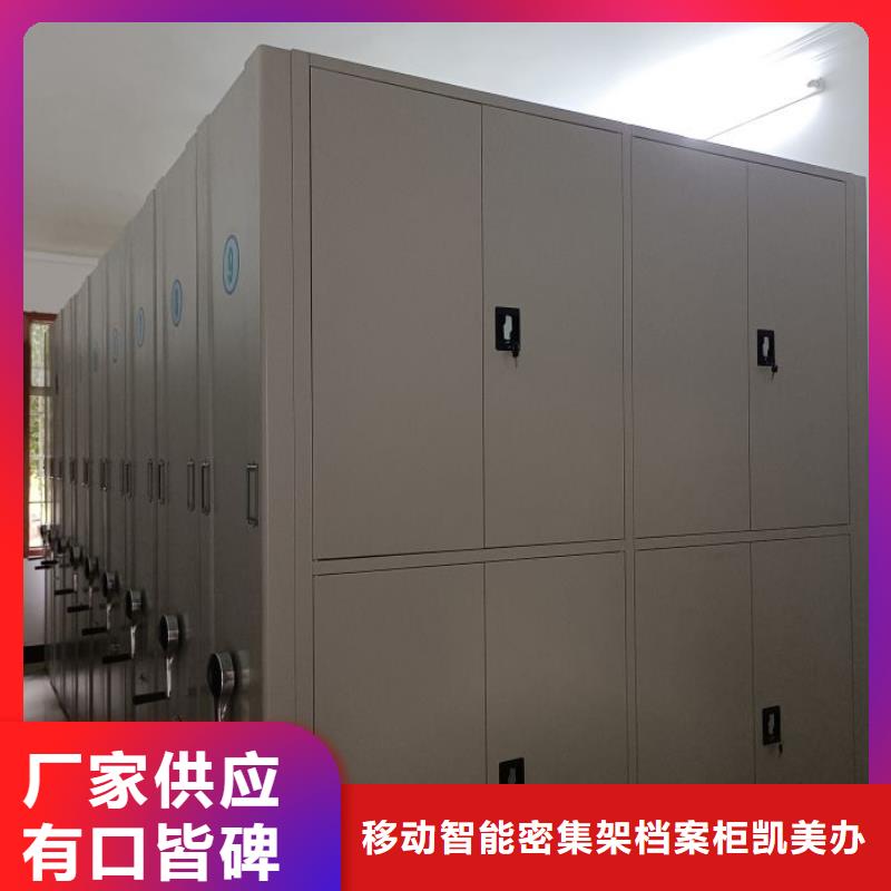 報價多少錢【凱美】防磁密集架
