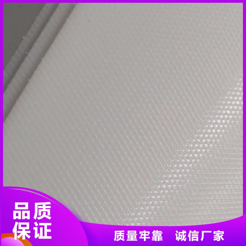 叉車推拉器塑料滑板-尼龍輪廠家工廠直銷