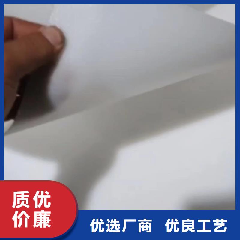 【叉車推拉器塑料滑板】尼龍輪專注產(chǎn)品質(zhì)量與服務(wù)