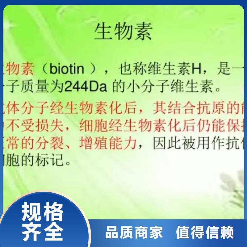 維生素H使用方法