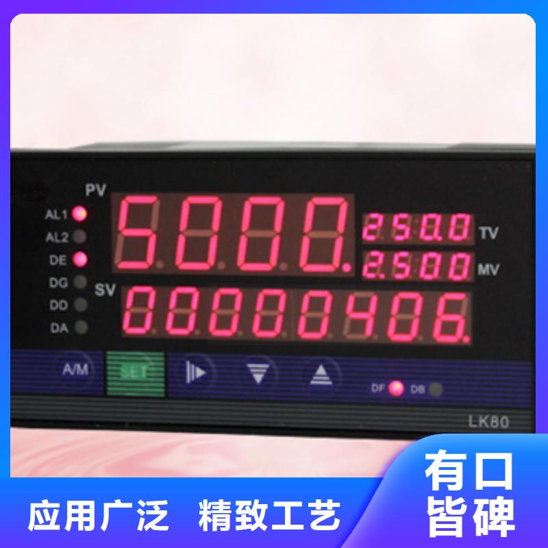 重信譽WP-LE3V交流電壓儀表批發廠家