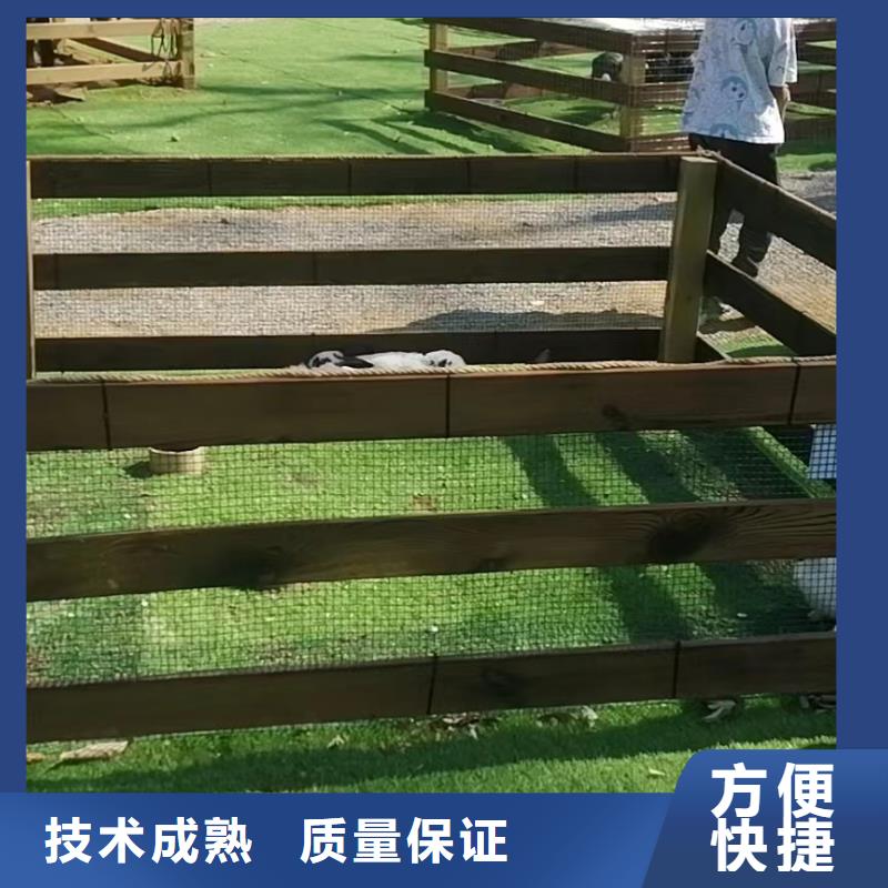 馬戲團/羊駝【動物表演出租】優質服務