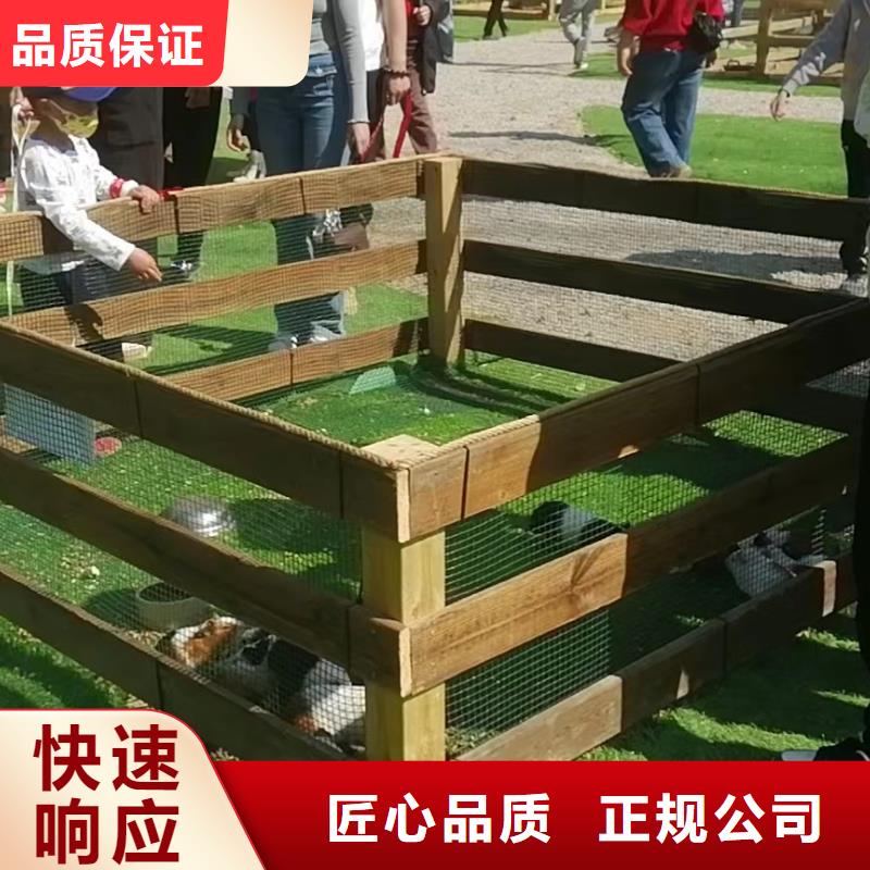 馬戲團(tuán)/羊駝-動物展覽秀解決方案