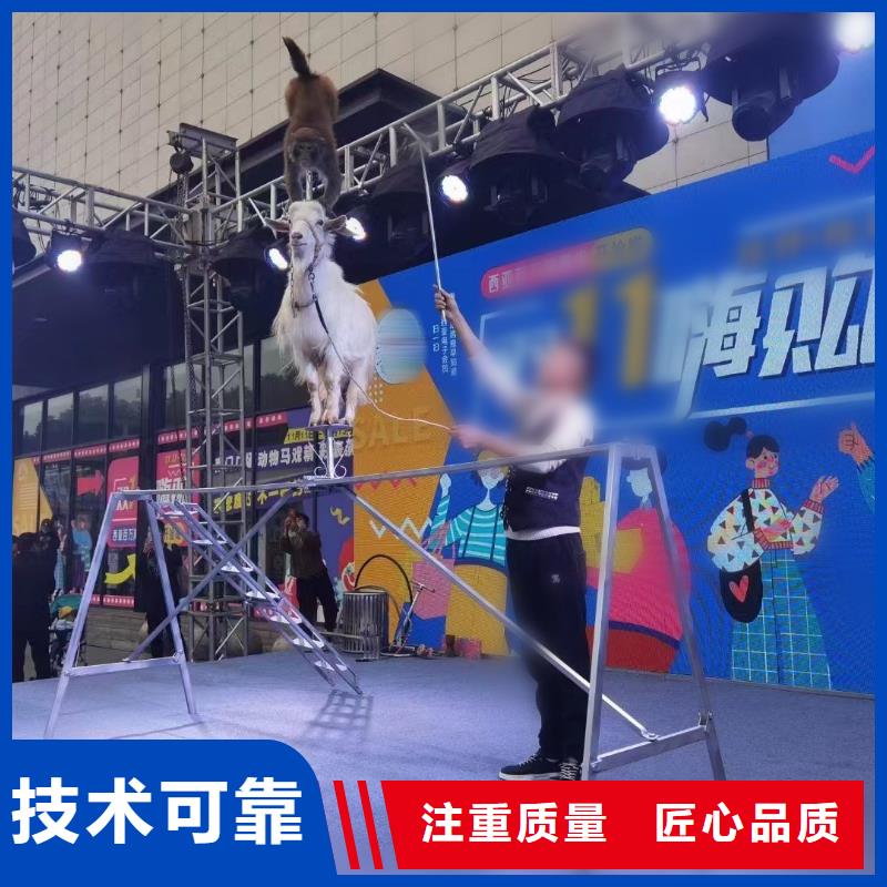 馬戲團(tuán)/羊駝美人魚表演放心之選