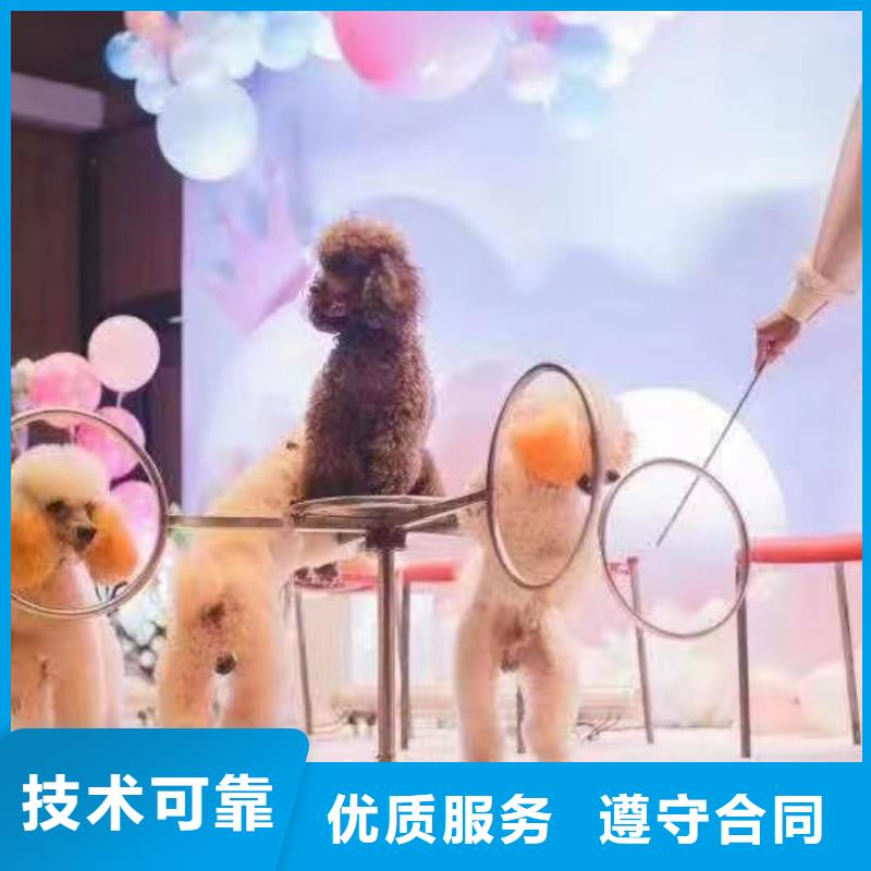 陵水縣動物展出租