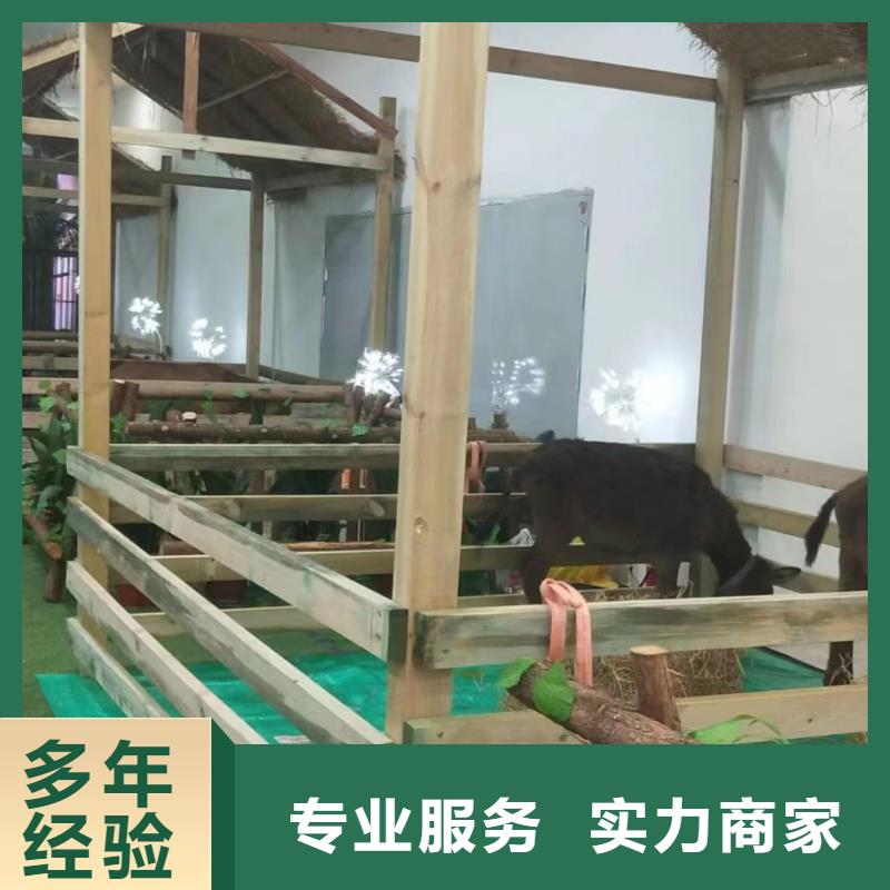 動物展租賃