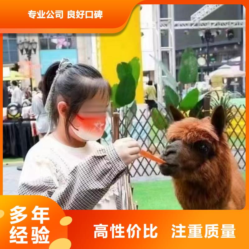 萌寵動物展租賃附近