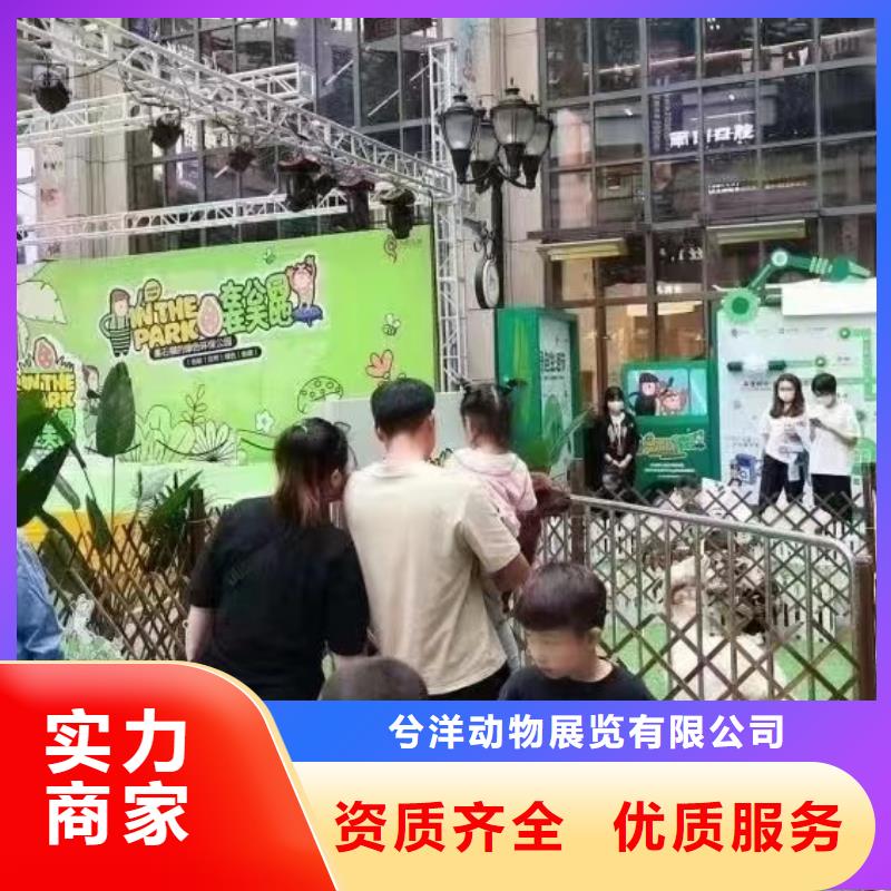 出租馬戲團表演免費策劃