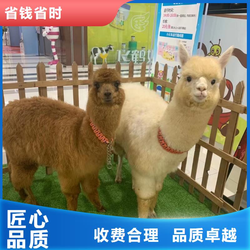 廠家熱線萌寵動物展出租