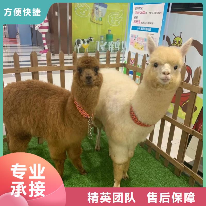 動物展租賃