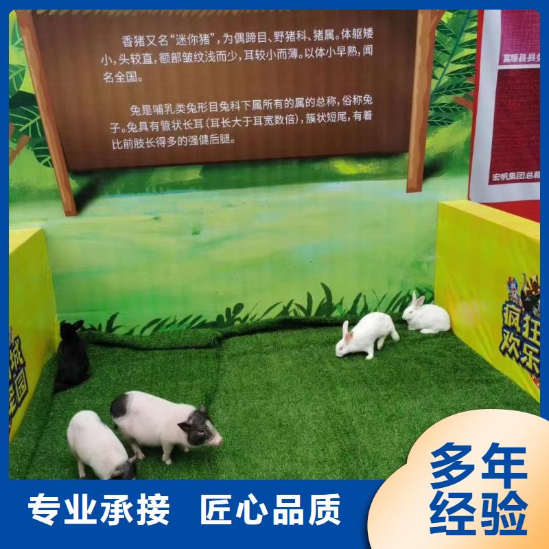 哪有羊駝出租的、哪有羊駝出租的廠家直銷-找兮洋動物展覽有限公司