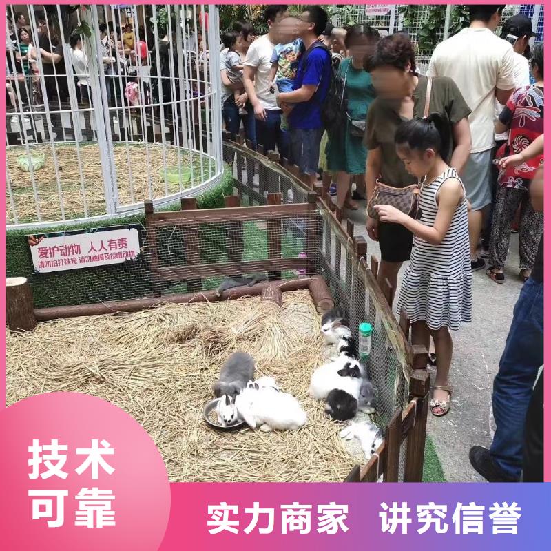 動物表演租賃點擊查看