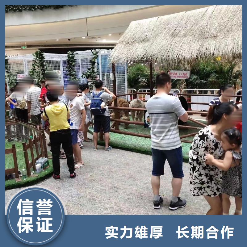 萌寵動物展