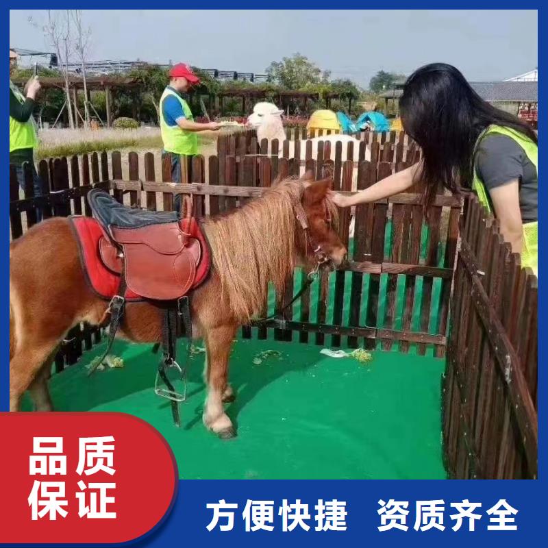 陵水縣動物展出租