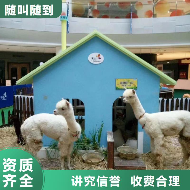 萌寵動物展租賃附近