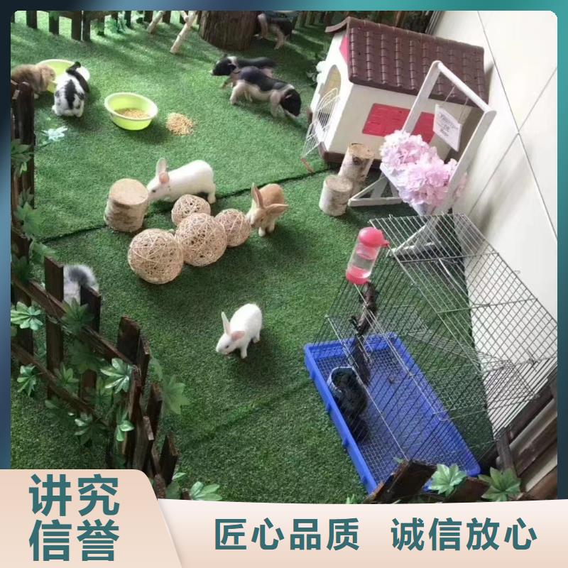 百鳥展租賃廠家報價