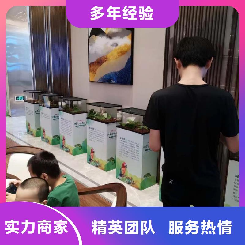 马戏团/羊驼-动物展览秀解决方案