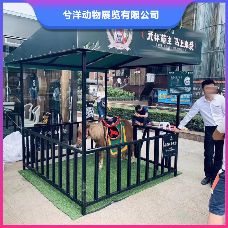 陵水縣動物展出租