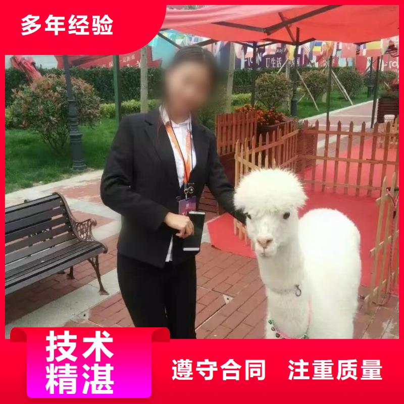 哪有出租動物的-哪有出租動物的熱銷