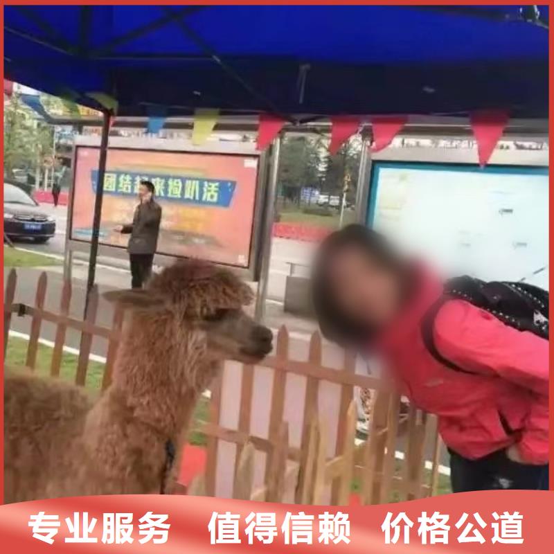 萌寵動物展覽房地產活動